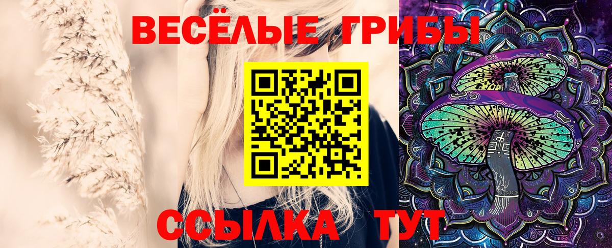 Псилоцибиновые грибы мицелий Черкесск